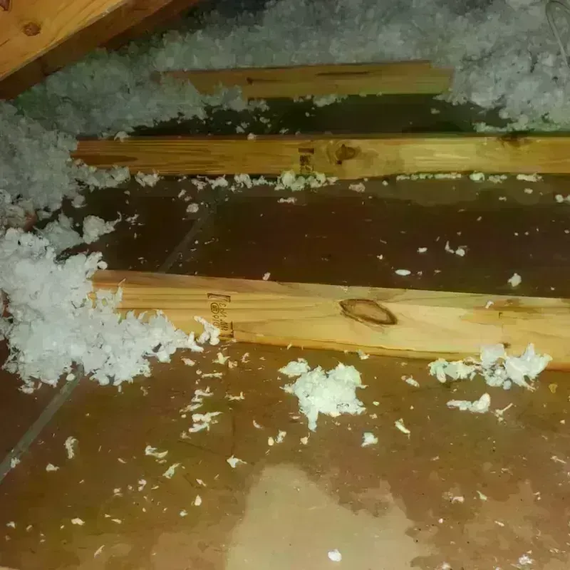 Attic Water Damage in Brentwood, MO