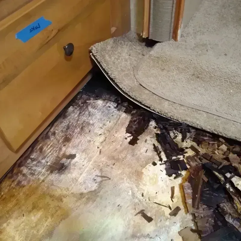 Best Wood Floor Water Damage Service in Brentwood, MO